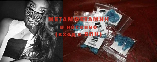 гидра Покачи