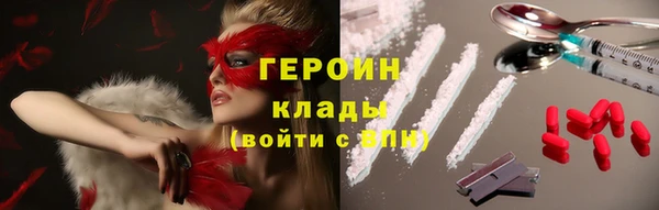 гидра Покачи