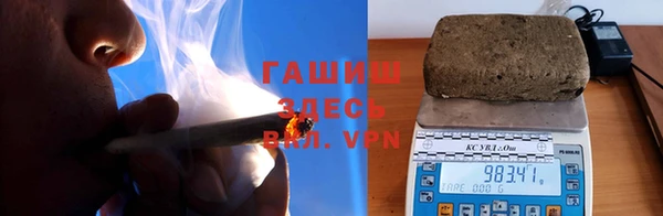 гидра Покачи
