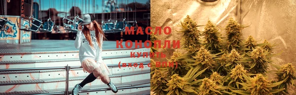 гидра Покачи