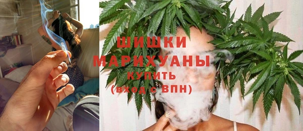 гидра Покачи