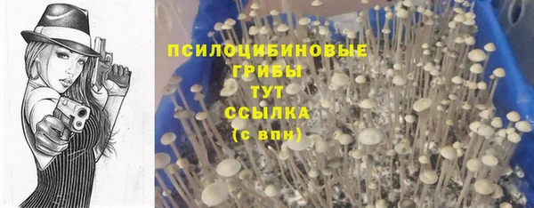скорость mdpv Грязовец