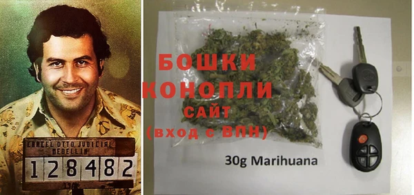 индика Покровск
