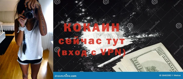 индика Покровск