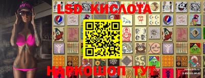 меф Кингисепп