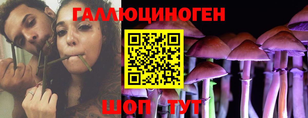 где найти наркотики  Псилоцибиновые грибы Psilocybe  Вход с VPN  Коммунар 