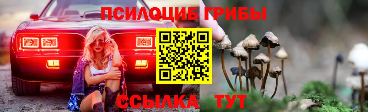 Псилоцибиновые грибы MAGIC MUSHROOMS  как найти закладки  Псилоцибиновые грибы Psilocybe  Коммунар 